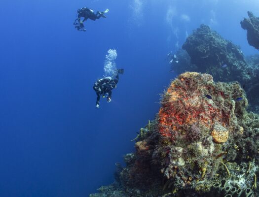 2 divers on Santa Rosa Wall in cozumel