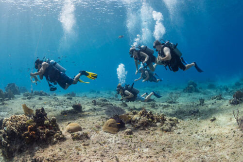 scuba divers at sds Discover Scuba Diving in Cozumel