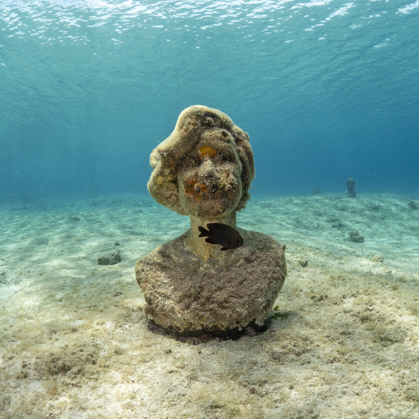 Sylvia earle statuę